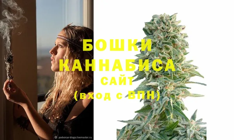 где можно купить   OMG ССЫЛКА  Марихуана Amnesia  Ахтубинск 